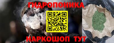 молекула духа Гатчина